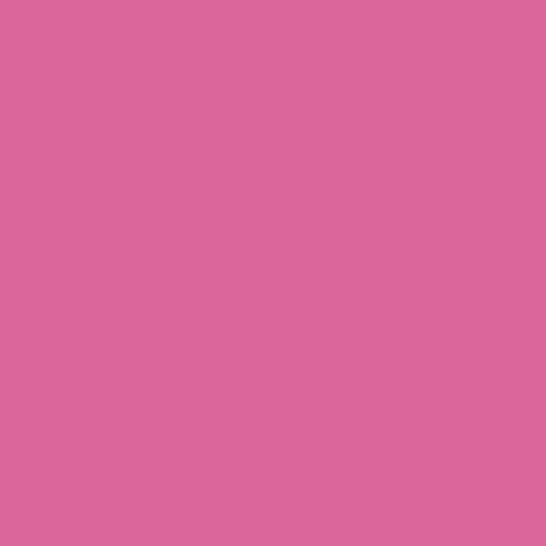 Raspberry Sorbet Dye Blocks