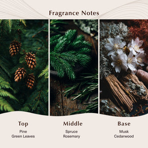 Balsam Fir Fragrance Oil - Secondary Image