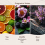 Black Raspberry Vanilla Fragrance Oil