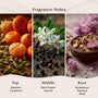 Birch & Black Pepper (Type) Fragrance Oil