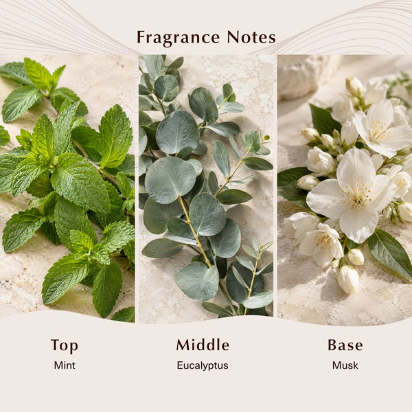 Eucalyptus & Spearmint (Type) Fragrance Oil - Zoom Media 2