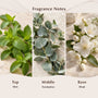 Eucalyptus & Spearmint (Type) Fragrance Oil - Zoom Thumbnail Media 2