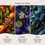 Blue Lavender & Bergamot Fragrance Oil