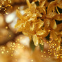 Narcissist (Type) Fragrance Oil - Zoom Thumbnail Media 3