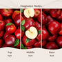 Apple Fragrance Note