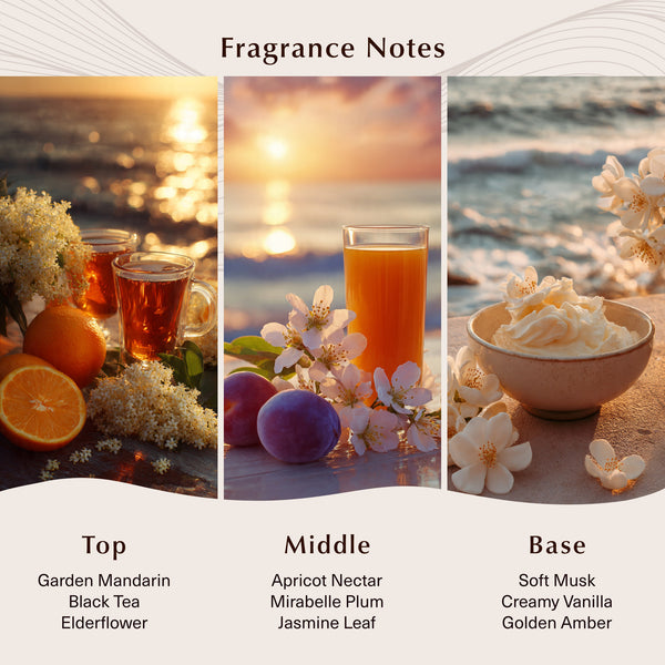 Apricot Tea & Elderflower Fragrance Oil