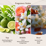 Solar Amber Fragrance Oil
