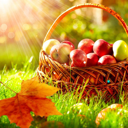 Autumn & Apple Orchard Fragrance Oil