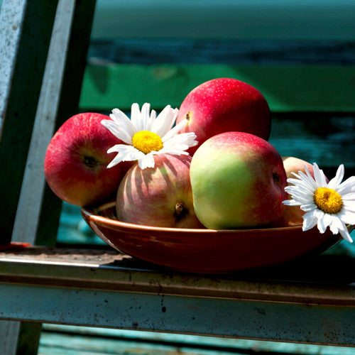Beautiful Day (Type) Fragrance Oil - Zoom Media 1
