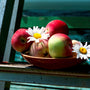 Beautiful Day (Type) Fragrance Oil - Zoom Thumbnail Media 1