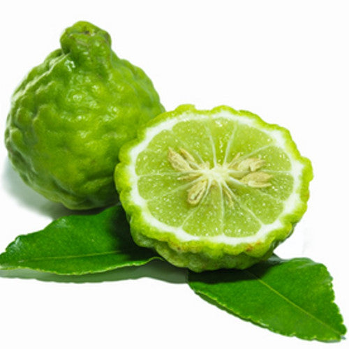 Bergamot Fragrance Oil