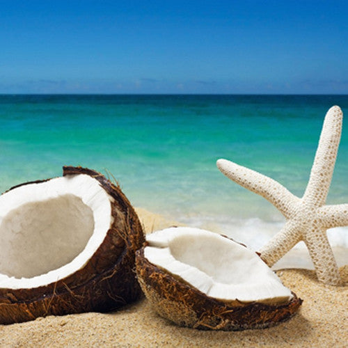 coconut palm creamy coconut perfume Coconut Bliss Fragrance Oil - Fragrance Oils for Candle Making