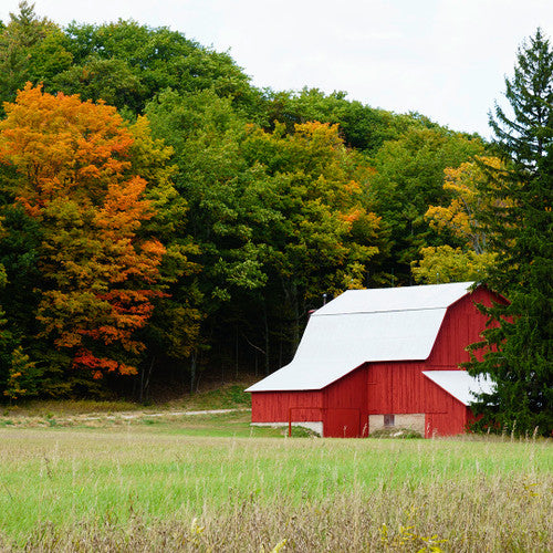 Fall Farmhouse (Type) Fragrance Oil
