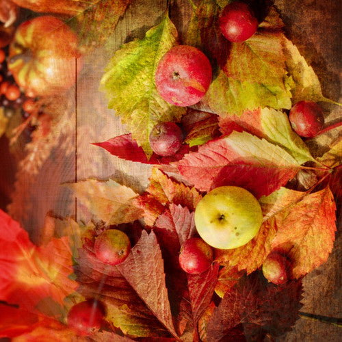 Fall Magic Fragrance Oil