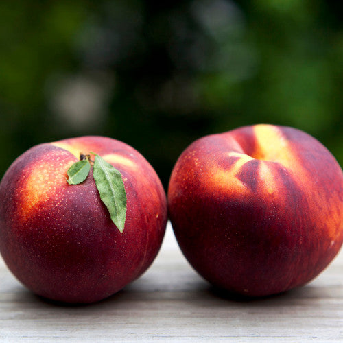 Georgia Peach Fragrance Oil