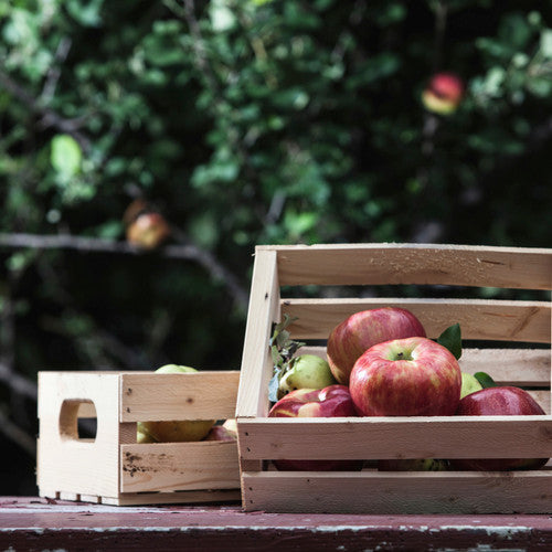 Honeycrisp Harvest Fragrance Oil