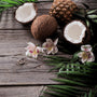 Lush Palm & Coconut Fragrance Oil
