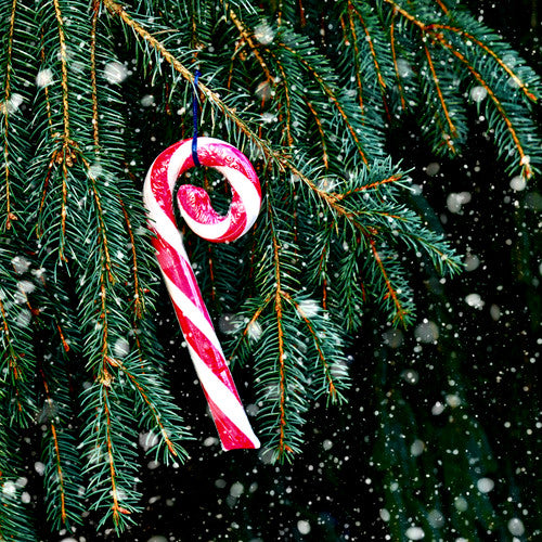 Pink Peppermint Snow Fragrance Oil