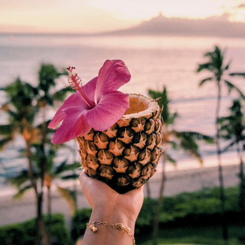 flaming pineapple plant Pink Pineapple Paradise Fragrance Oil - Fragrance Oils for Candle Making