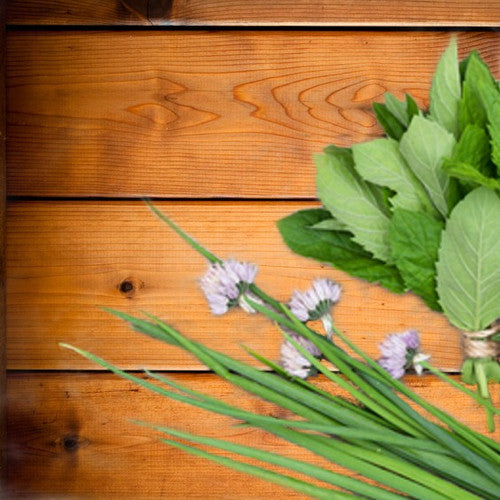 Red Cedar Fragrance Oil