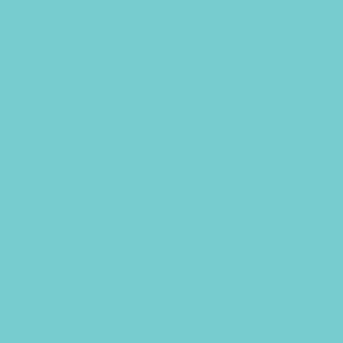 Seafoam Green Dye Blocks