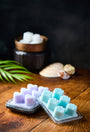 Wax Melt Clamshell Molds - Heart Shapes