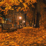 Autumn Night (Type) Fragrance Oil