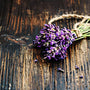 Black Amber & Lavender Fragrance Oil