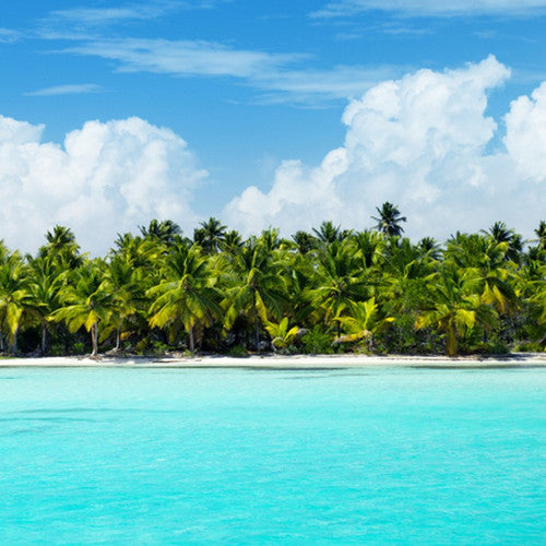 Caribbean Teakwood Fragrance Oil