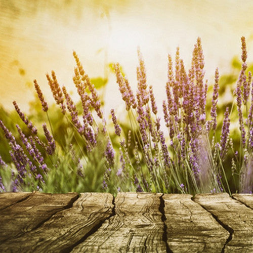 Cedar Leaf & Lavender (Type) Fragrance Oil