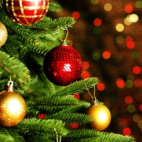 Christmas Tree Fragrance Oil