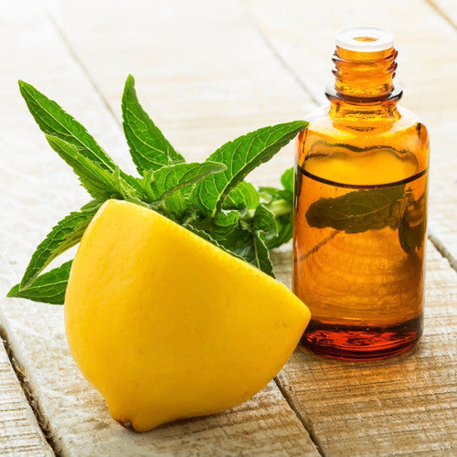 Lemon Mint Leaf (Type) Fragrance Oil