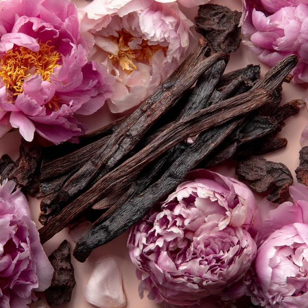 Velvet Peony & Incense Fragrance Oil