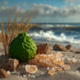 Coastal Cypress & Bergamot Fragrance Oil - Zoom Thumbnail Media 1
