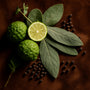 Sagewood & Suede Fragrance Oil