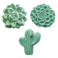Succulent Soap Mold Collection