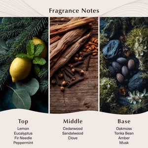 Beach Wood Fragrance Oil - Secondary Image