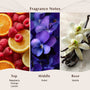 Berry Blue Fragrance Oil