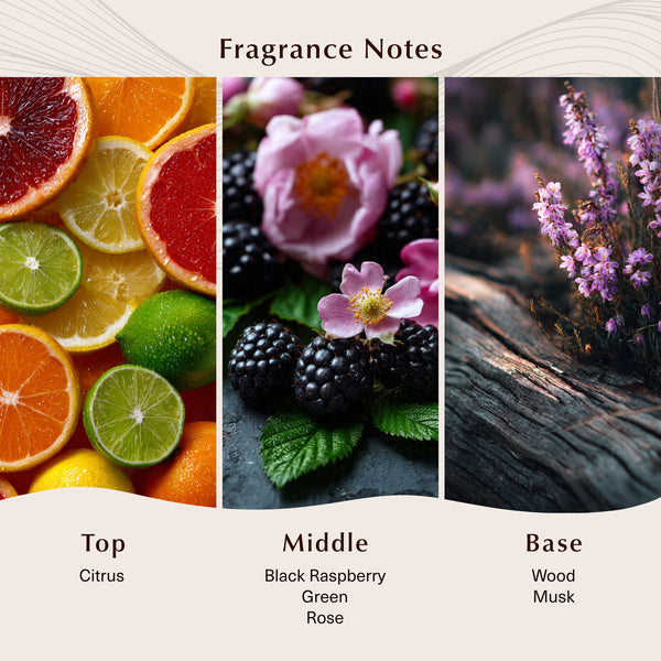 Black Raspberry Vanilla Fragrance Oil