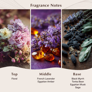 Black Amber & Lavender Fragrance Oil