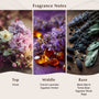 Black Amber & Lavender Fragrance Oil