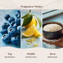 Blueberry Cake Pop Fragrance Oil
