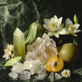 Moonstone Crystal Fragrance Oil