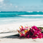 Sol & Flor (Type) Fragrance Oil