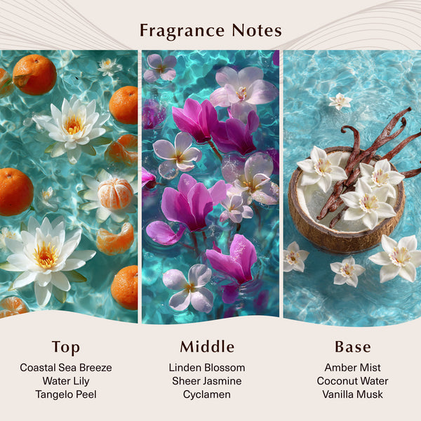 Blue Clarity Fragrance Oil
