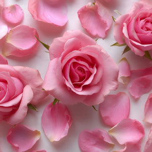 Rose Comfort (Type) Fragrance Oil
