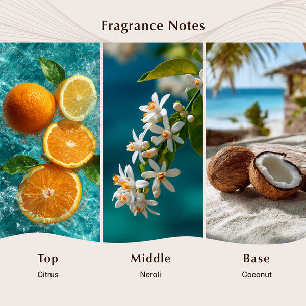 Sea Island (Type) Fragrance Oil