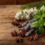 La Drouguerie (Type) Fragrance Oil