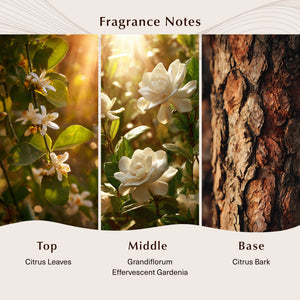 Fleur d'Oranger (Type) Fragrance Oil