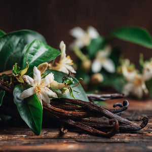 Vanilla Bloom (Type) Fragrance Oil